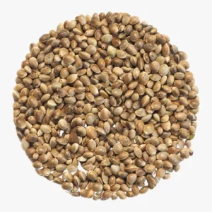 Home handpicked red chillies